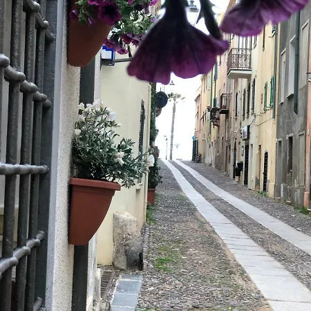 Cavour 84